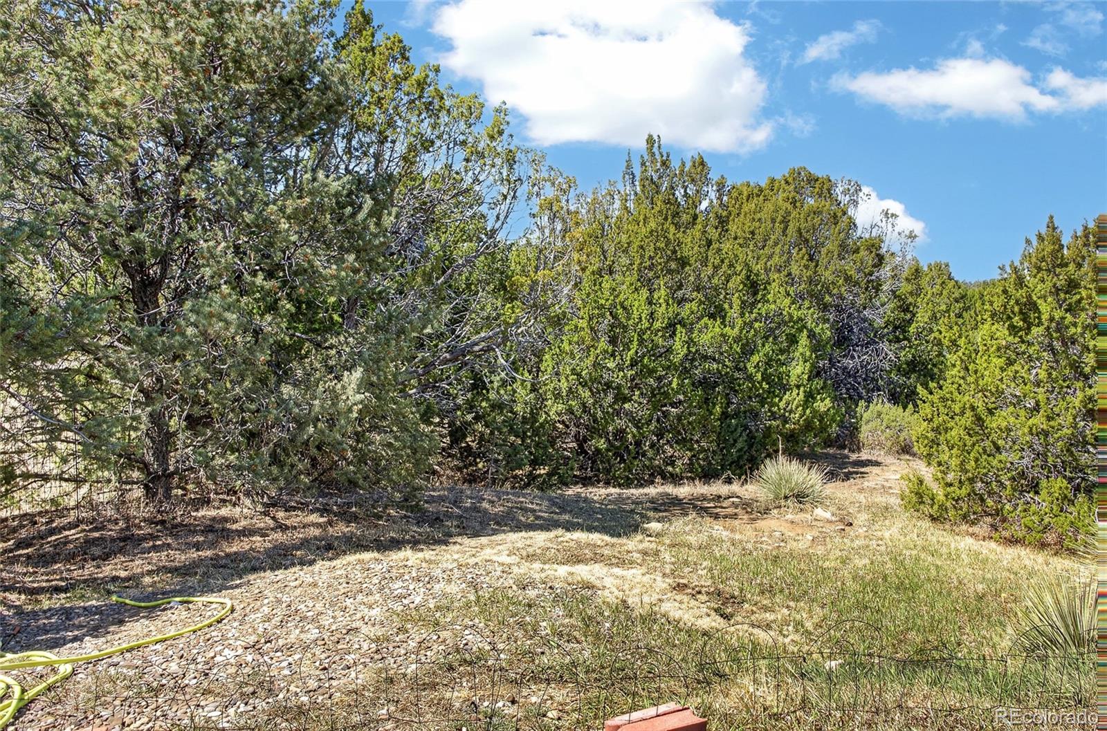 415 Riata Drive Trinidad CO 81082