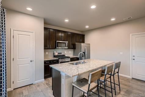 1542 Goldfield Trail Castle Rock CO 80109