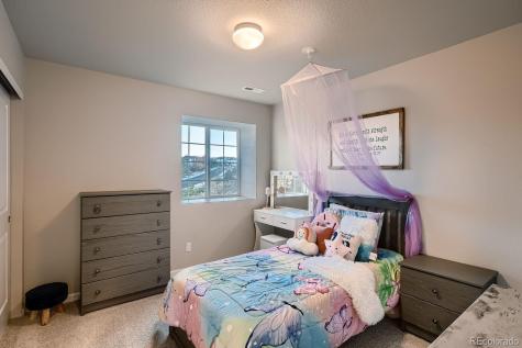 1542 Goldfield Trail Castle Rock CO 80109