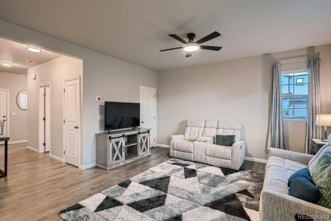 1542 Goldfield Trail Castle Rock CO 80109
