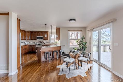 1914 Terrace Drive Highlands Ranch CO 80126