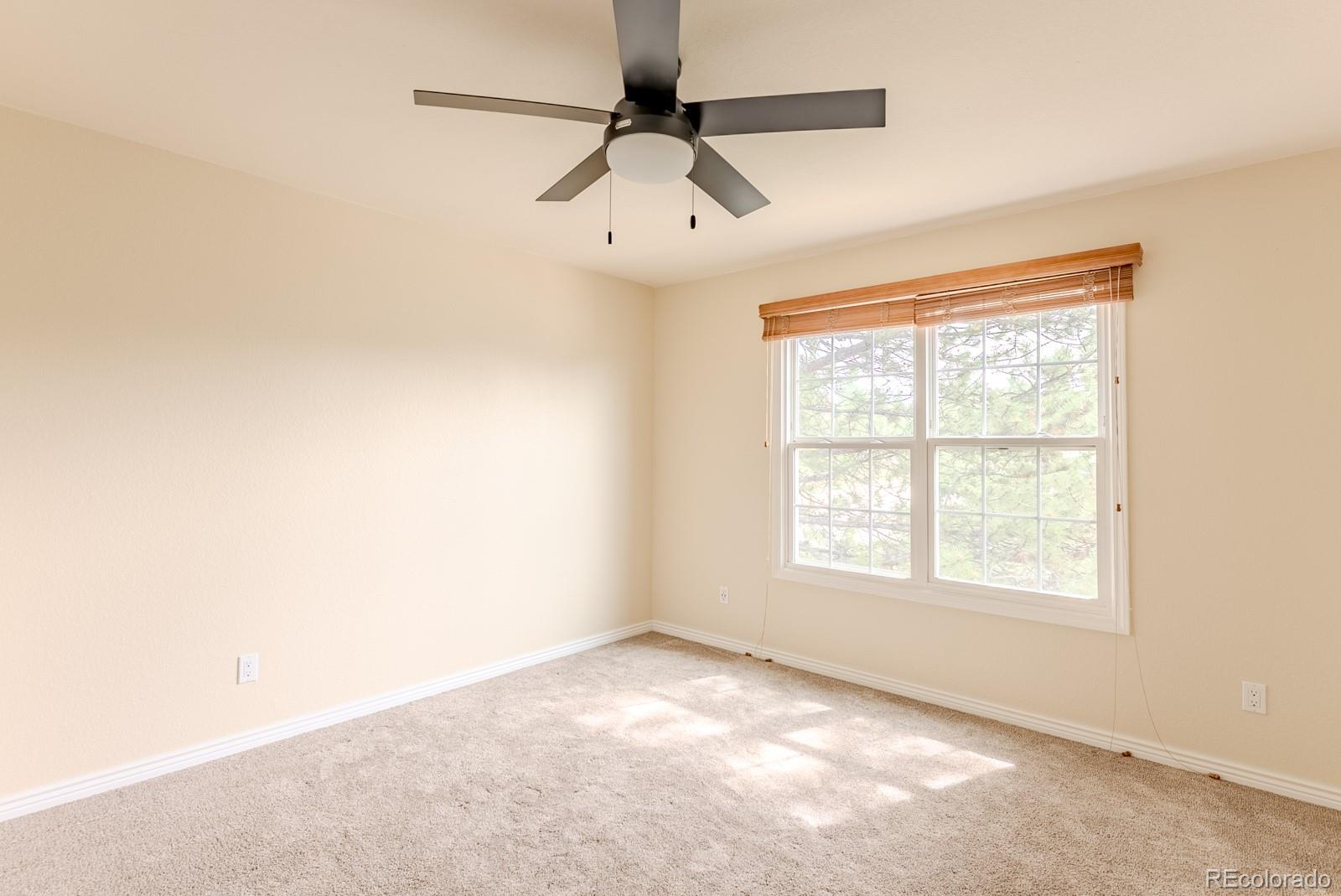 1914 Terrace Drive Highlands Ranch CO 80126
