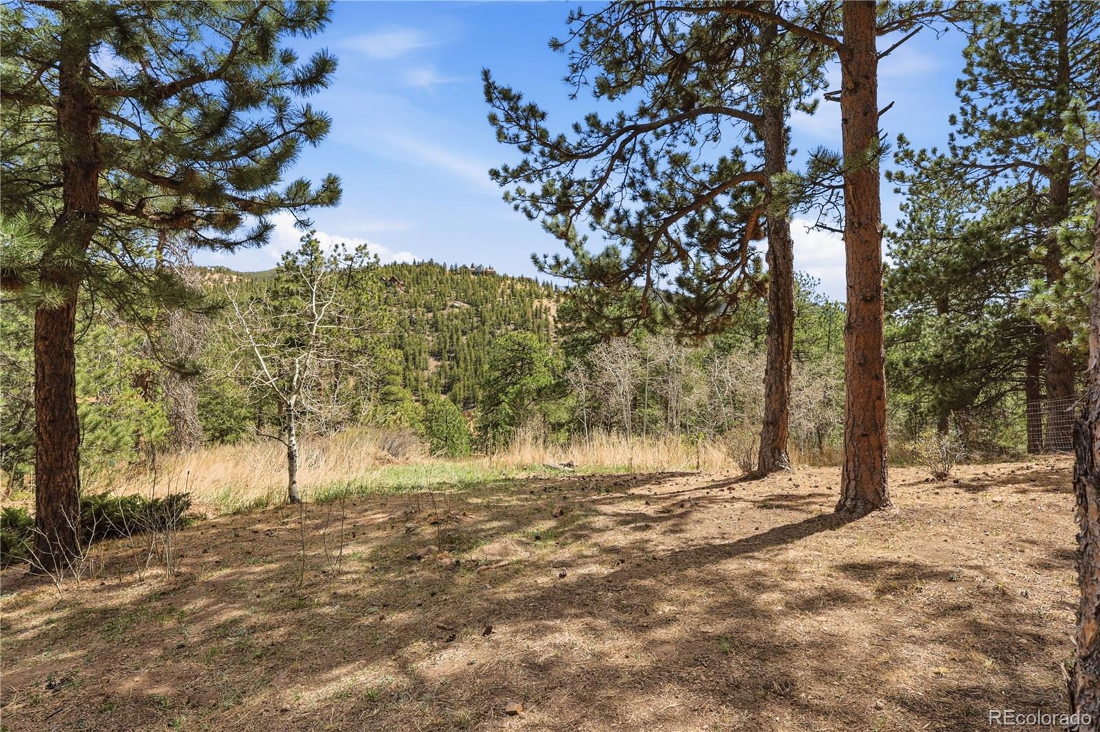 11488 Ranch Elsie Road Golden CO 80403