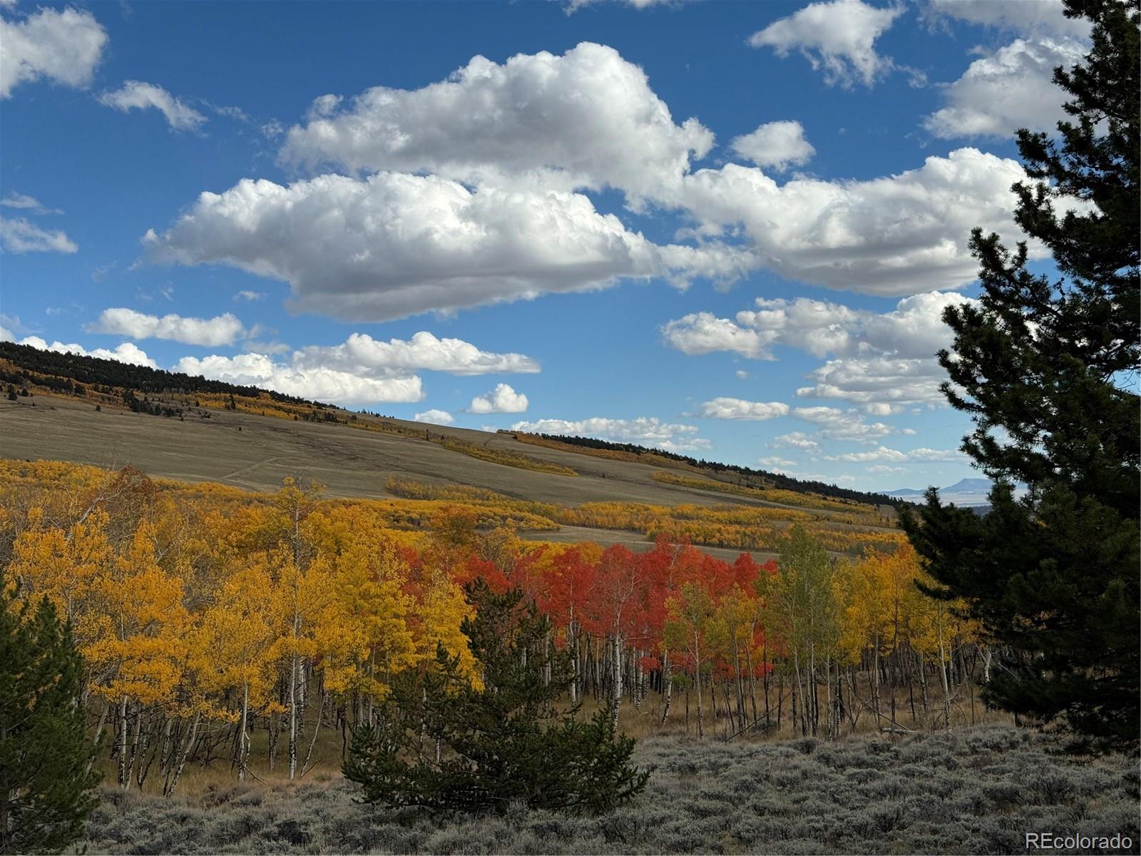 2079 High Creek Road Fairplay CO 80440