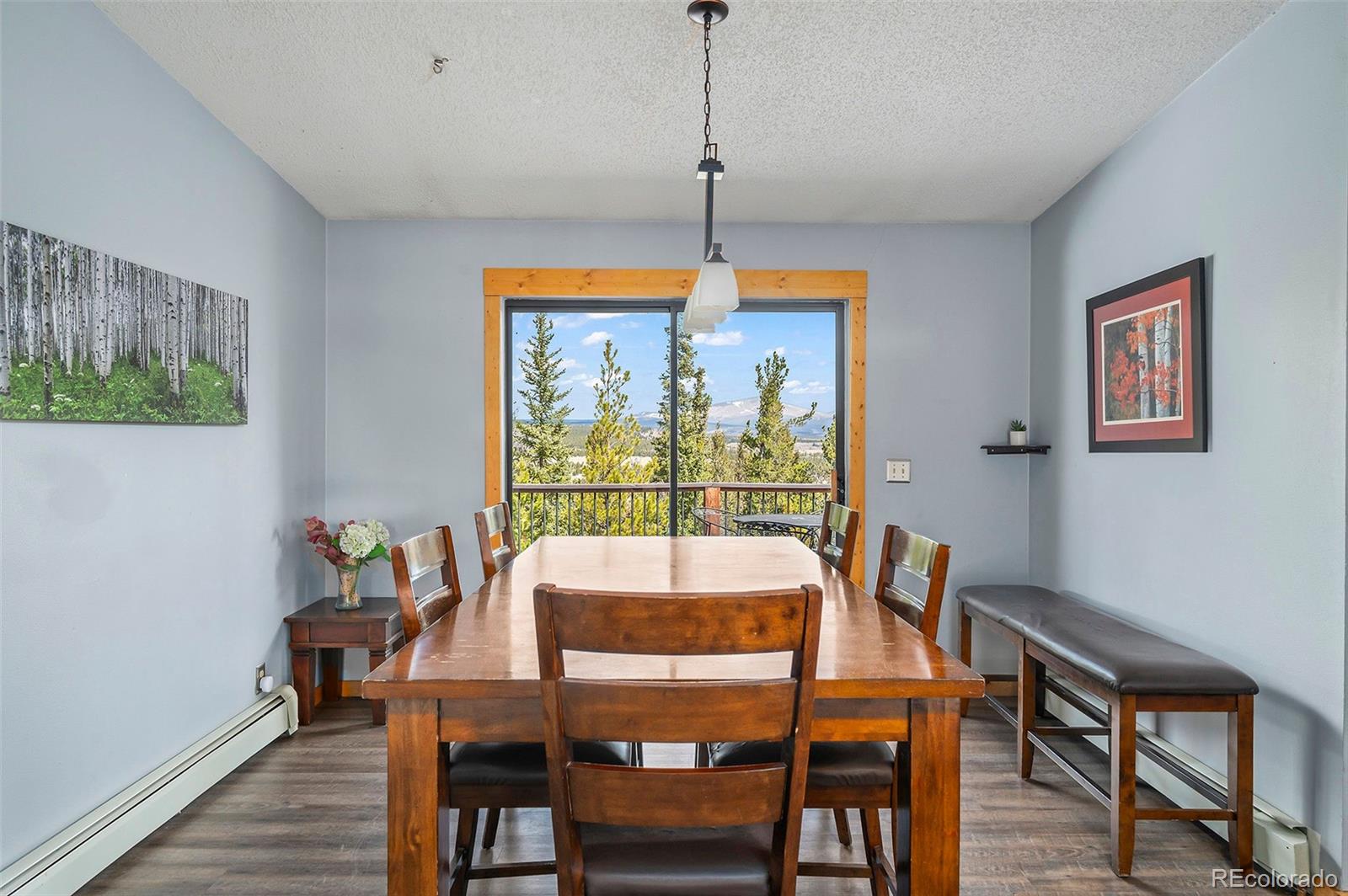 2079 High Creek Road Fairplay CO 80440
