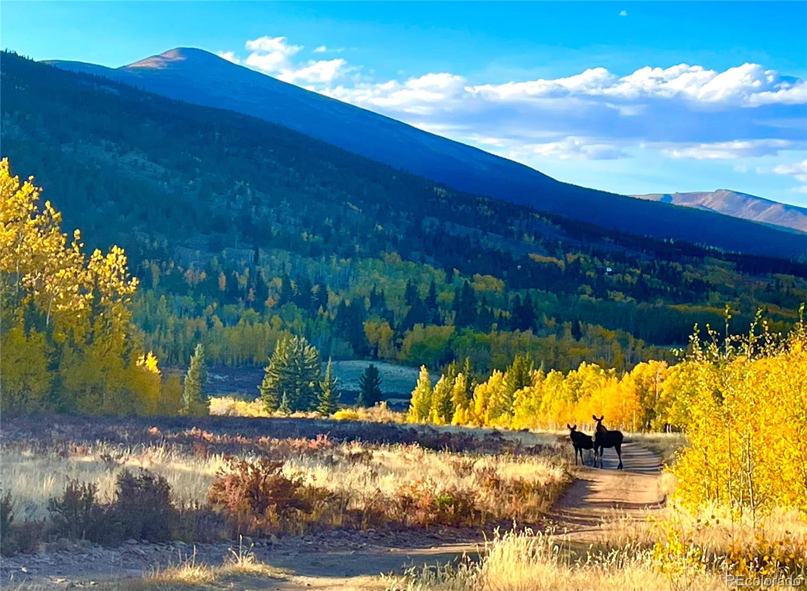 2079 High Creek Road Fairplay CO 80440
