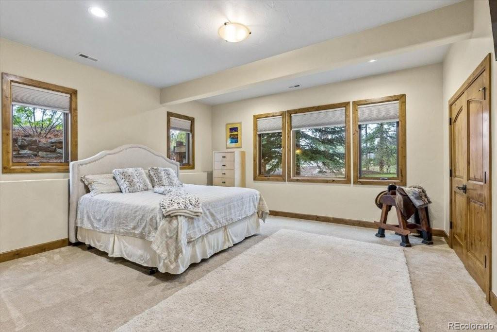 2573 Oak Vista Court Castle Rock CO 80104