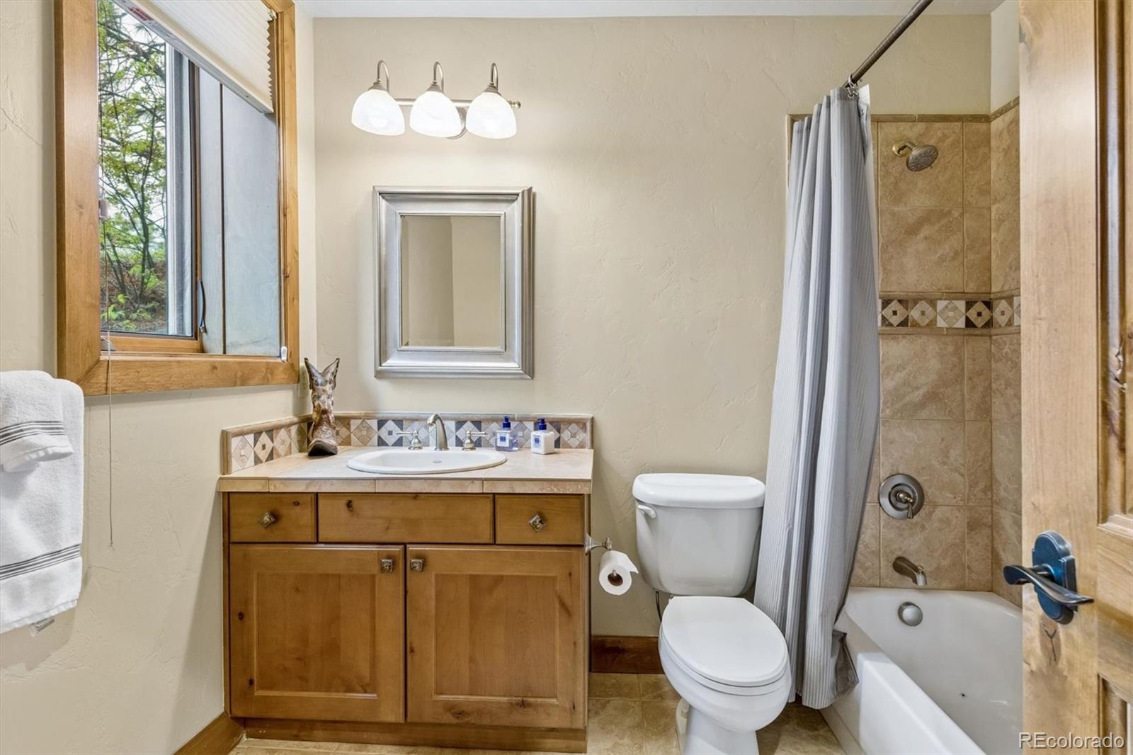 2573 Oak Vista Court Castle Rock CO 80104