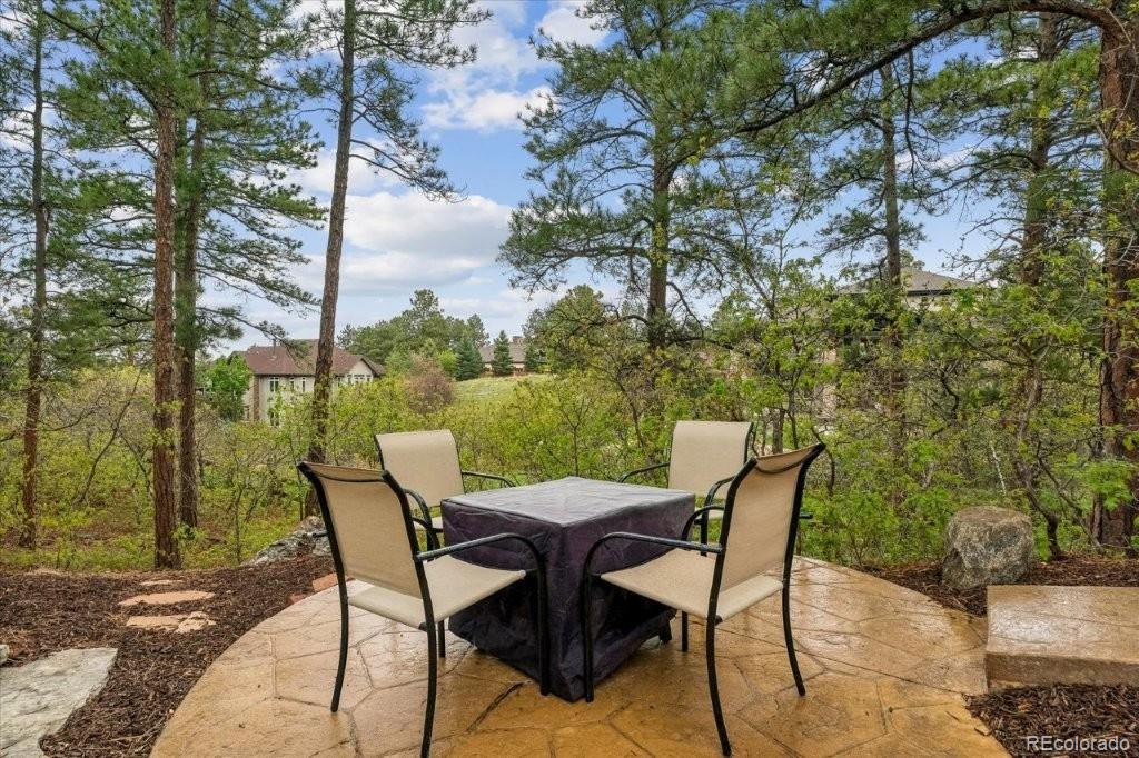 2573 Oak Vista Court Castle Rock CO 80104