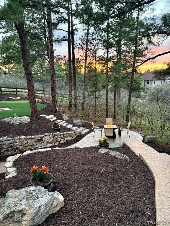 2573 Oak Vista Court Castle Rock CO 80104