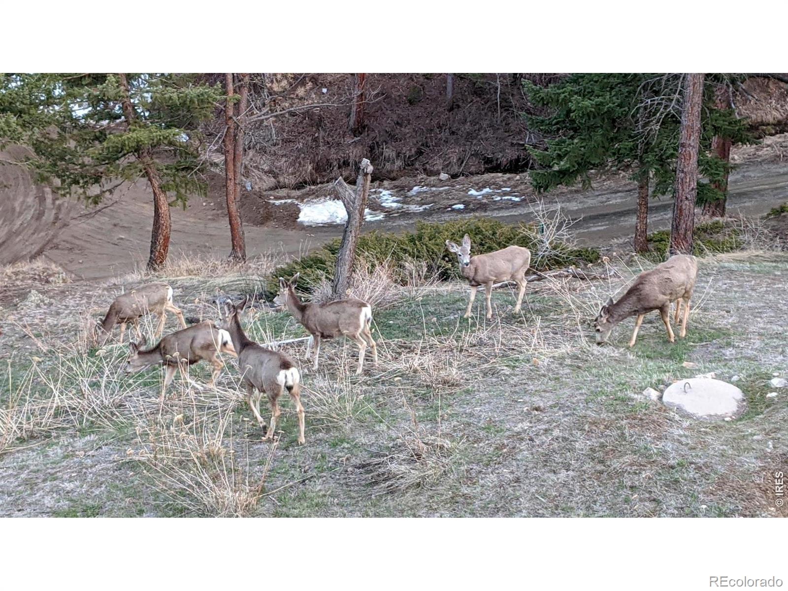 310 Wendelyn Way Boulder CO 80302