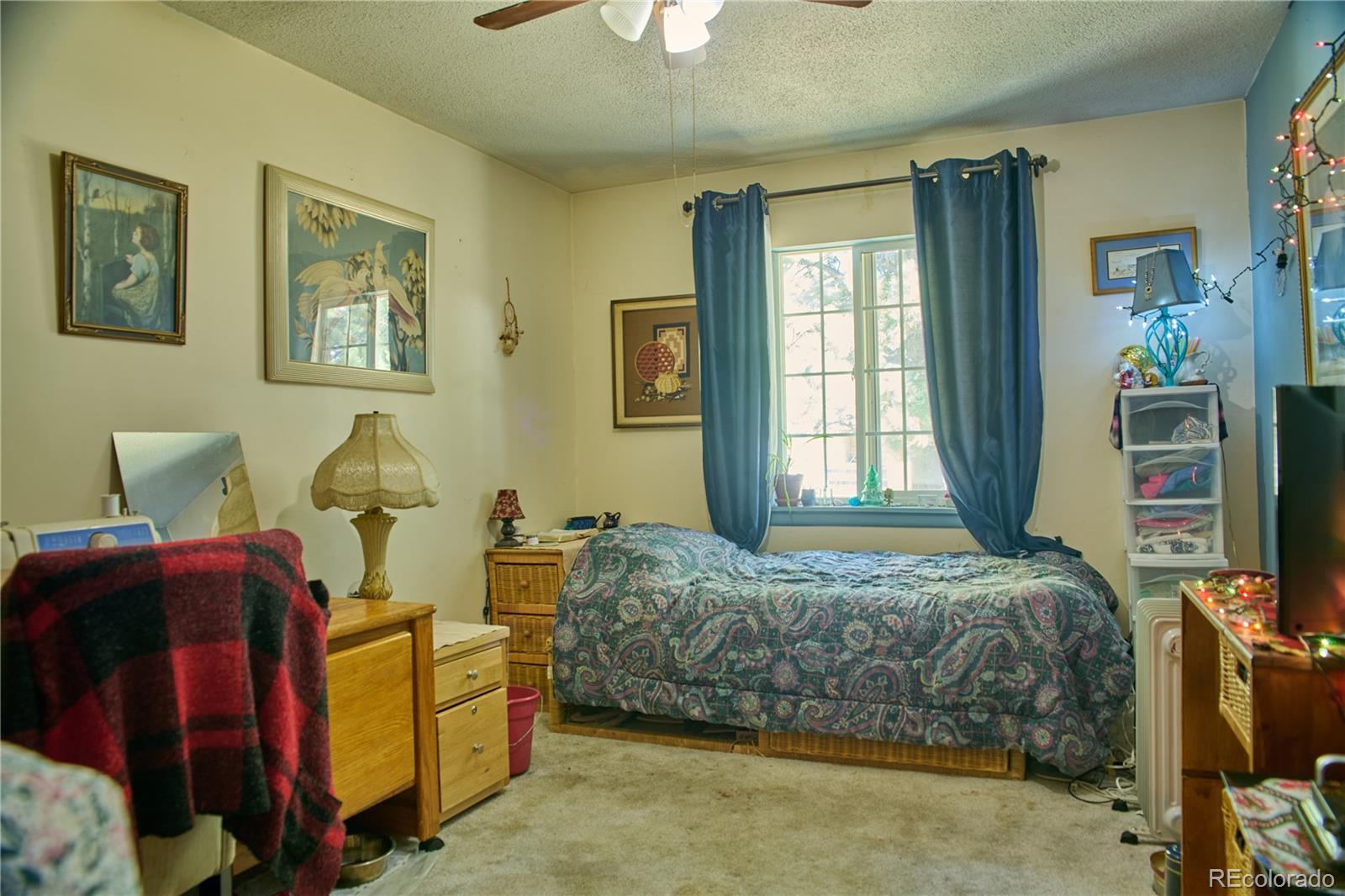 213 Culebra Street San Luis CO 81152