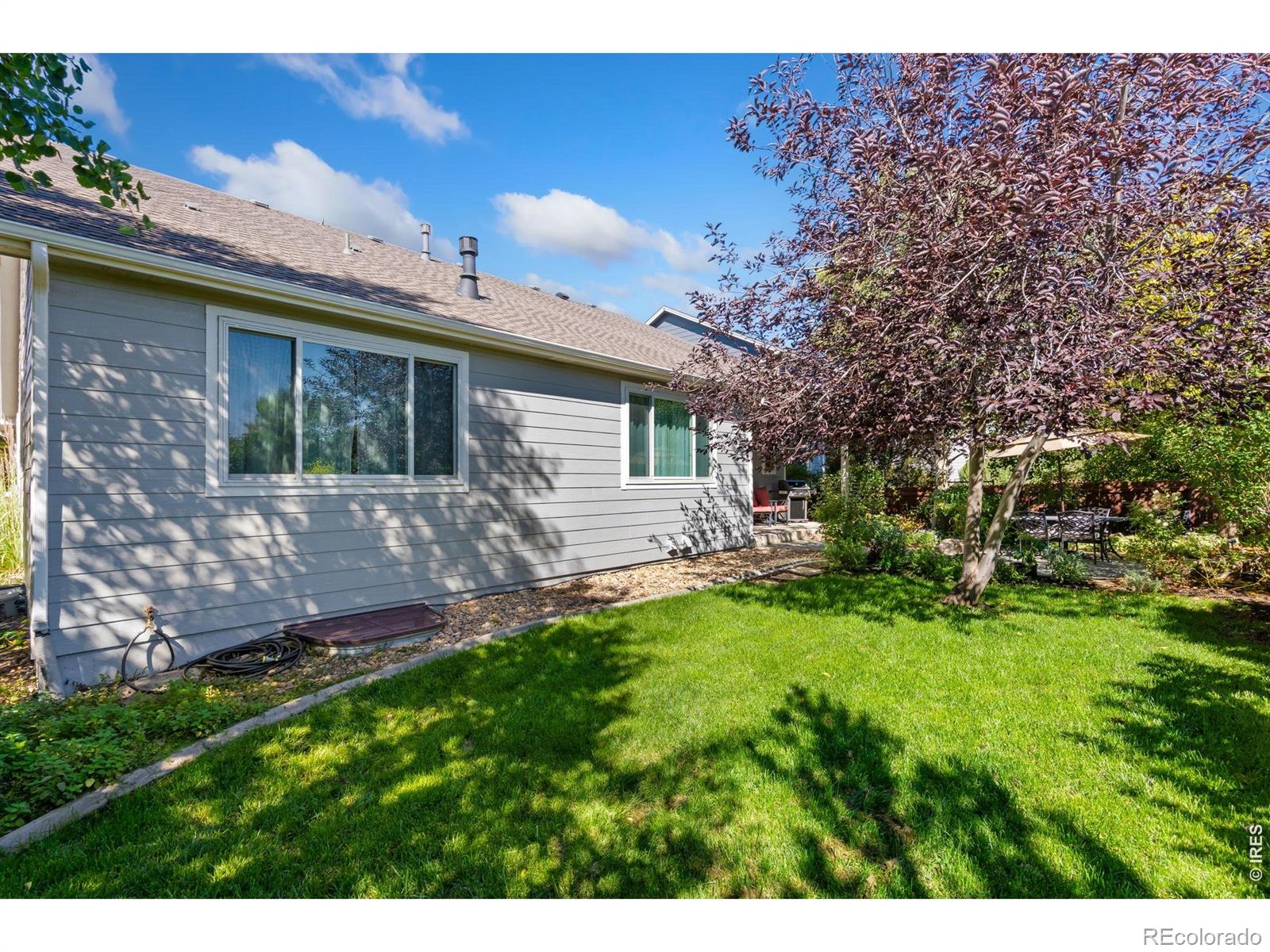 5574 Quarry Street Timnath CO 80547