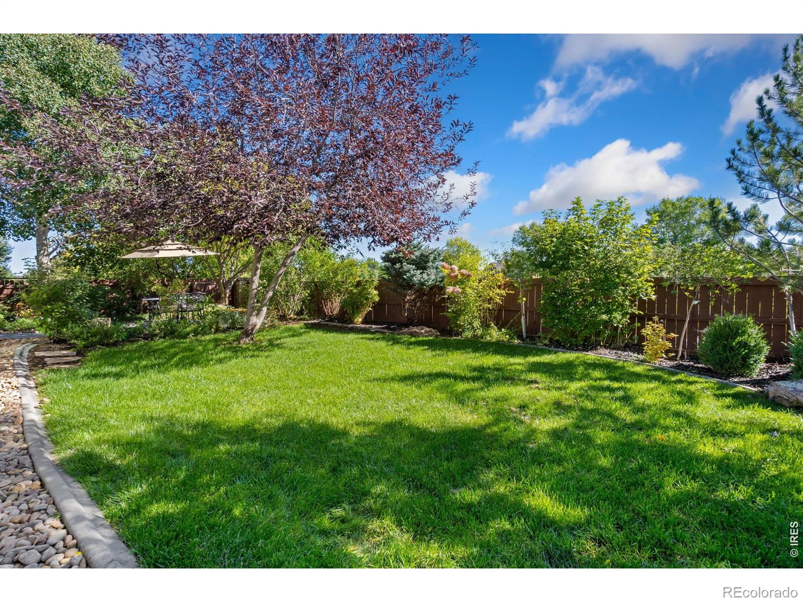 5574 Quarry Street Timnath CO 80547