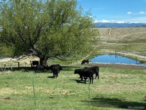 11355 E County Road 270 Nathrop CO 81236