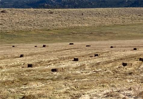 11355 E County Road 270 Nathrop CO 81236