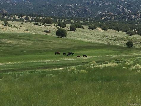 11355 E County Road 270 Nathrop CO 81236