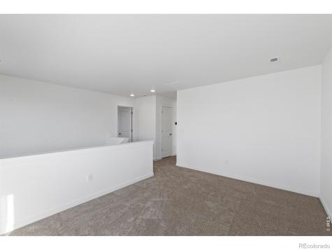 1472 Boyle Street Windsor CO 80550