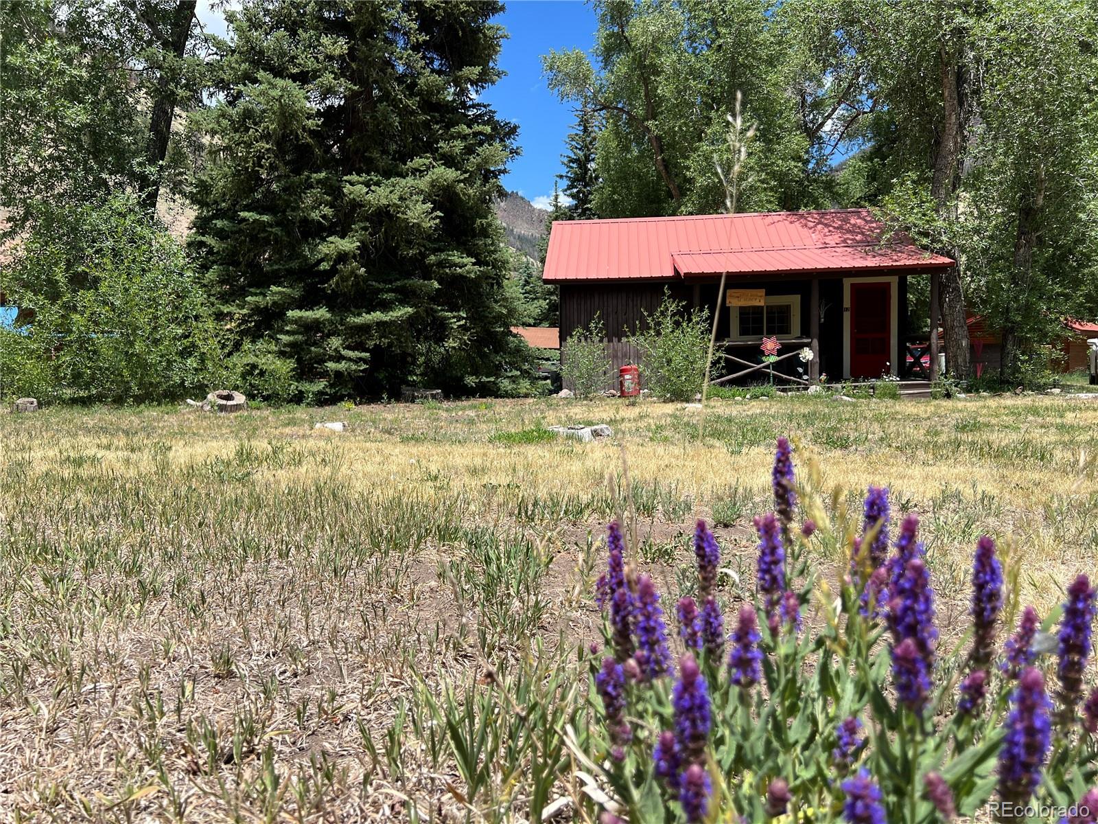47 Lower Terrace Drive Creede CO 81130