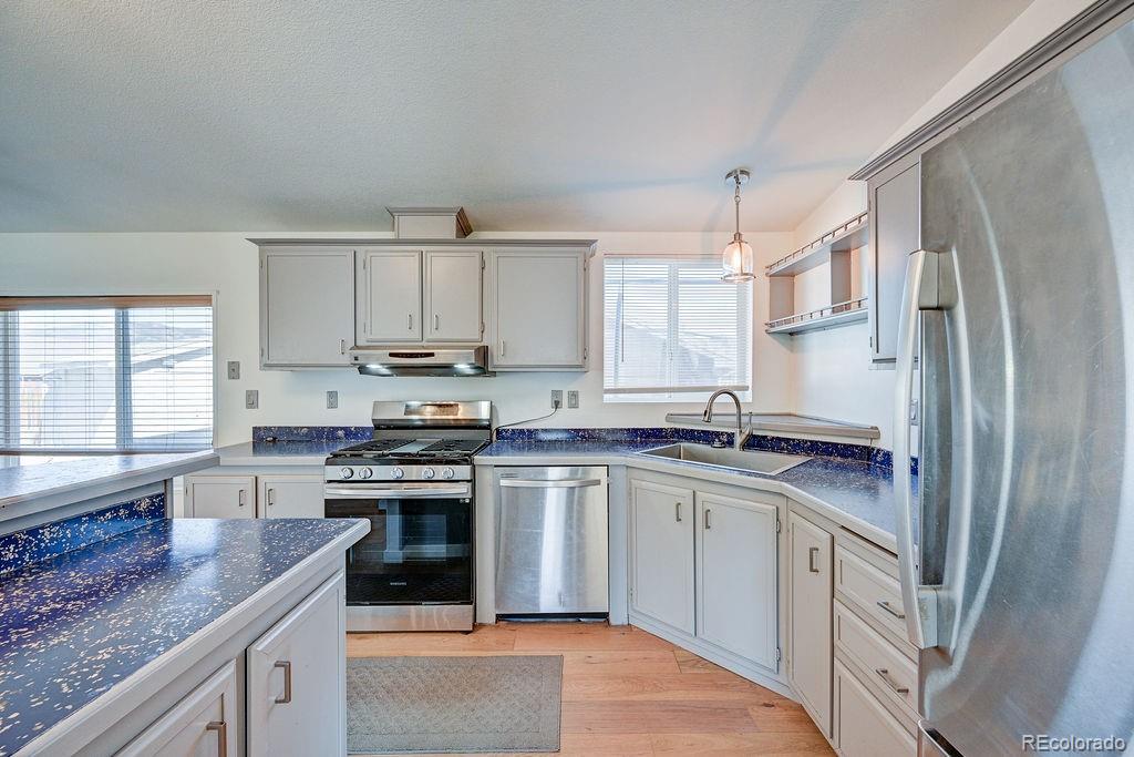 181 Larissa Lane Buena Vista CO 81211