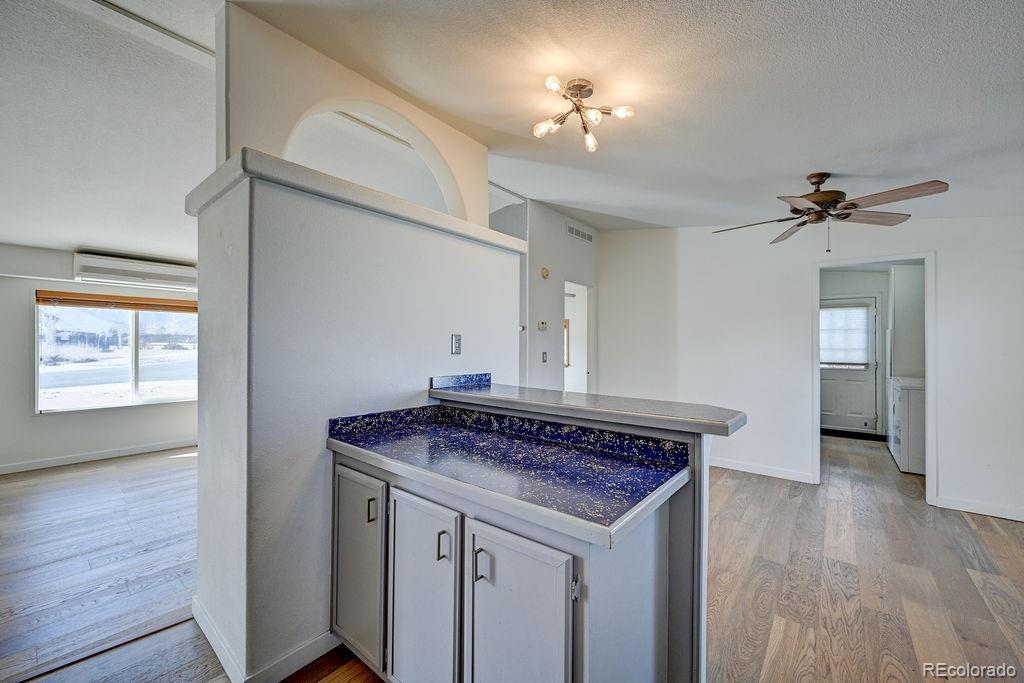 181 Larissa Lane Buena Vista CO 81211