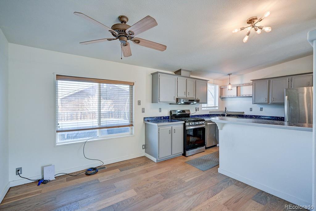 181 Larissa Lane Buena Vista CO 81211