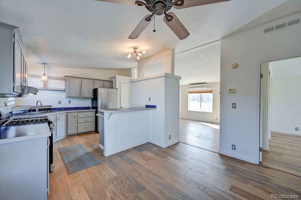 181 Larissa Lane Buena Vista CO 81211