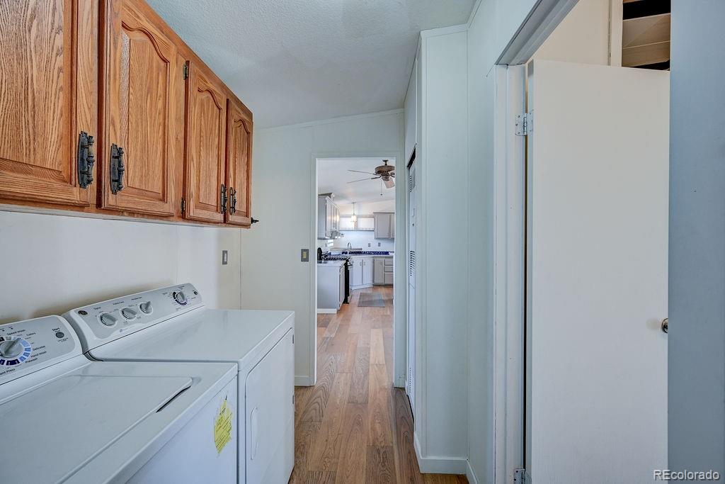 181 Larissa Lane Buena Vista CO 81211
