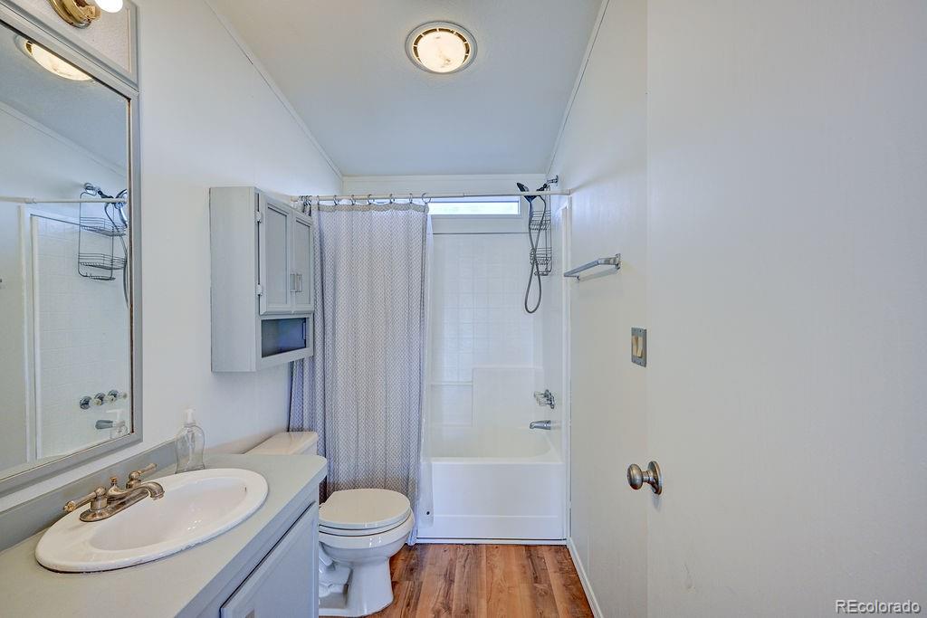 181 Larissa Lane Buena Vista CO 81211