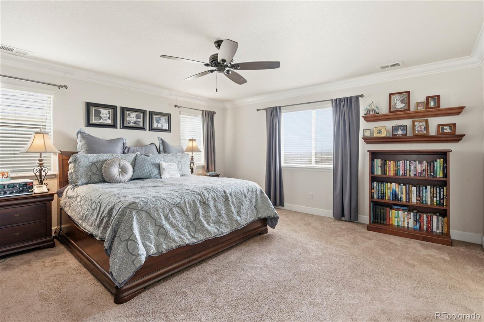 7359 Blue Water Drive Castle Rock CO 80108