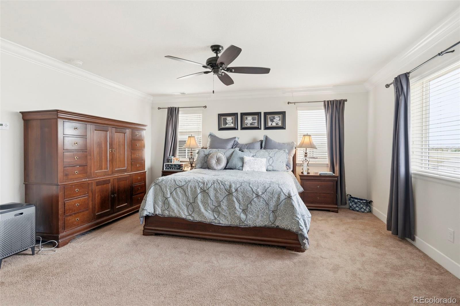 7359 Blue Water Drive Castle Rock CO 80108