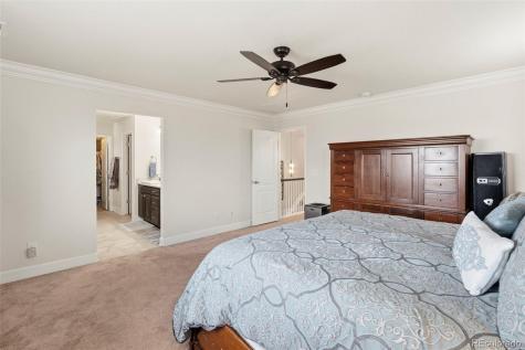7359 Blue Water Drive Castle Rock CO 80108