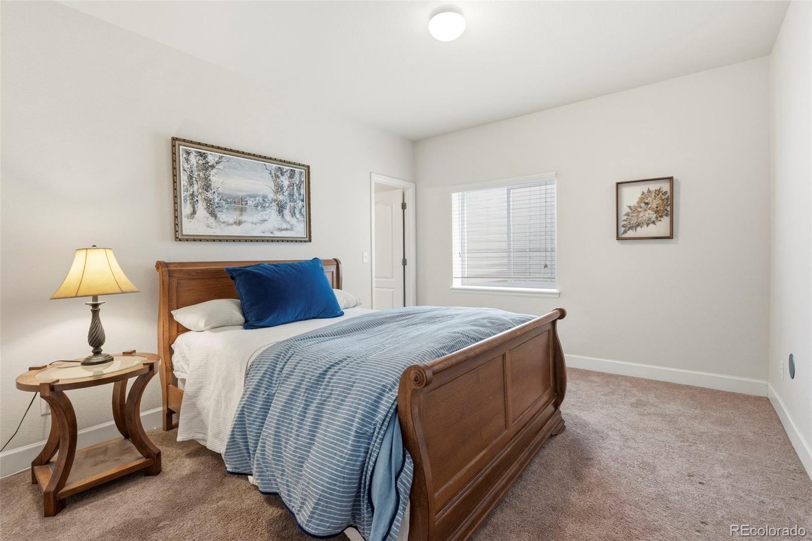 7359 Blue Water Drive Castle Rock CO 80108