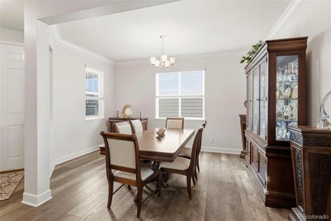 7359 Blue Water Drive Castle Rock CO 80108