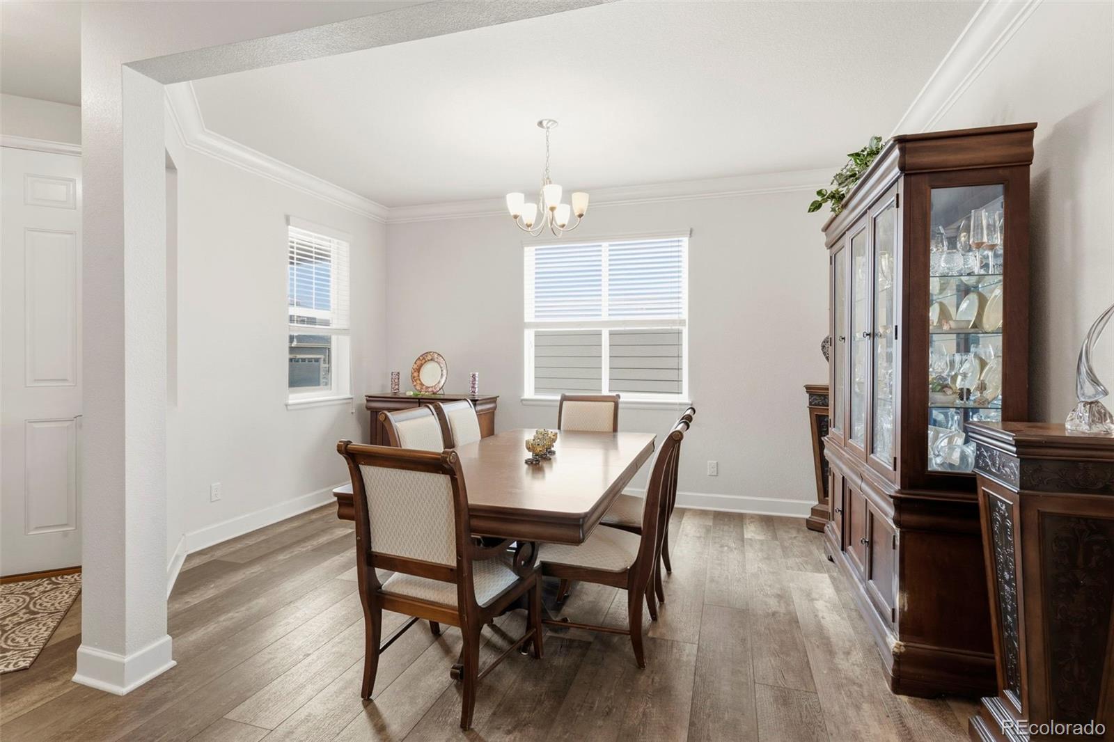7359 Blue Water Drive Castle Rock CO 80108