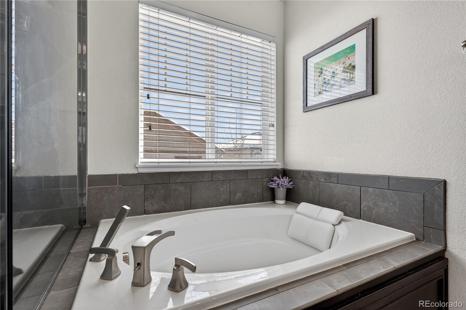 4861 S Picadilly Court Aurora CO 80015