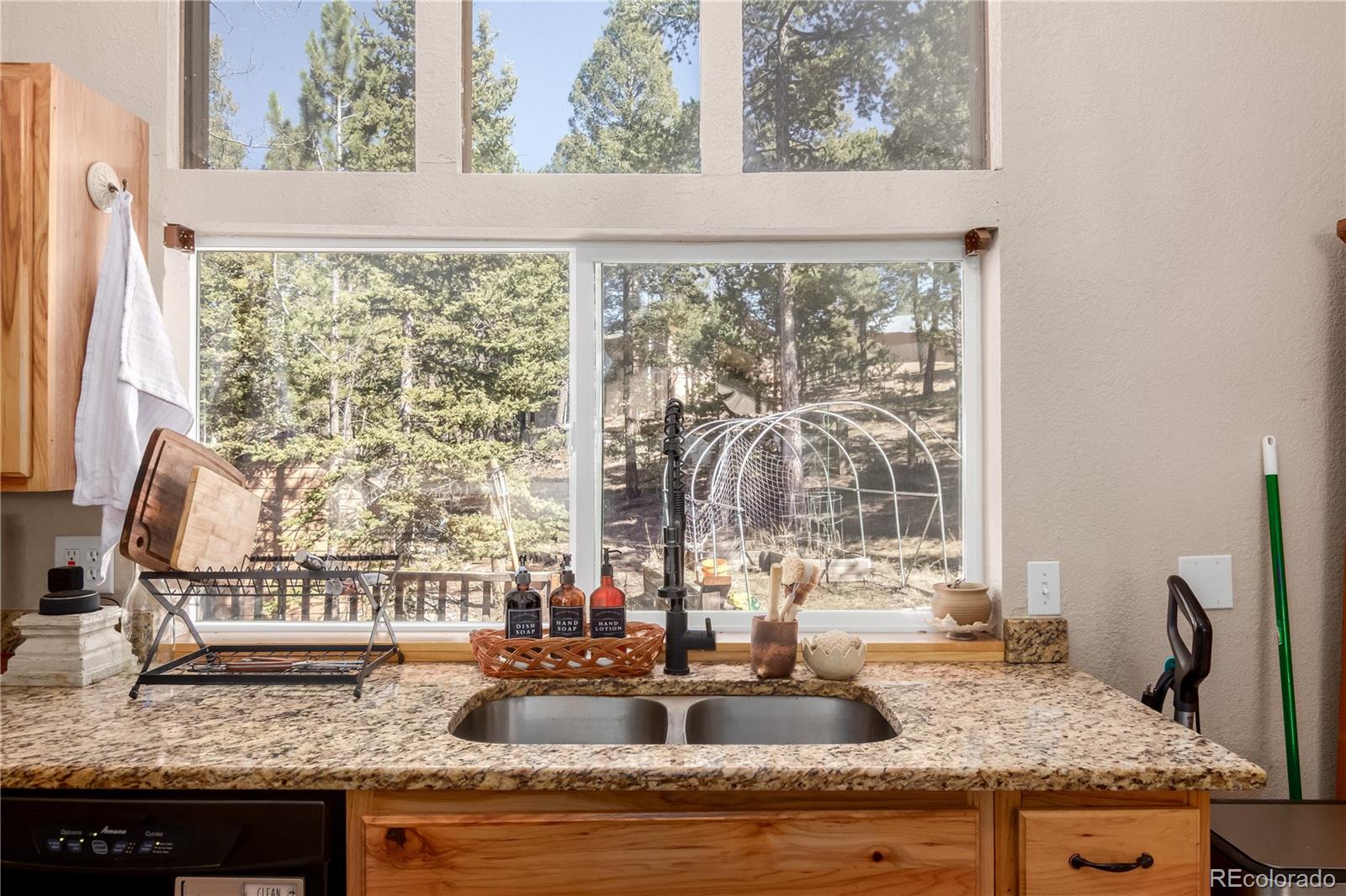 44 Anderson Road Florissant CO 80816