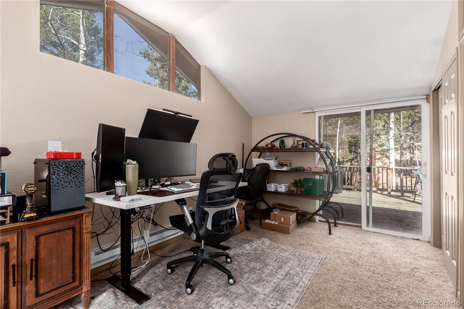 44 Anderson Road Florissant CO 80816