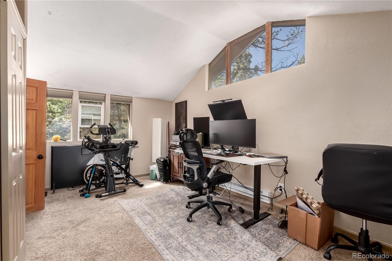 44 Anderson Road Florissant CO 80816