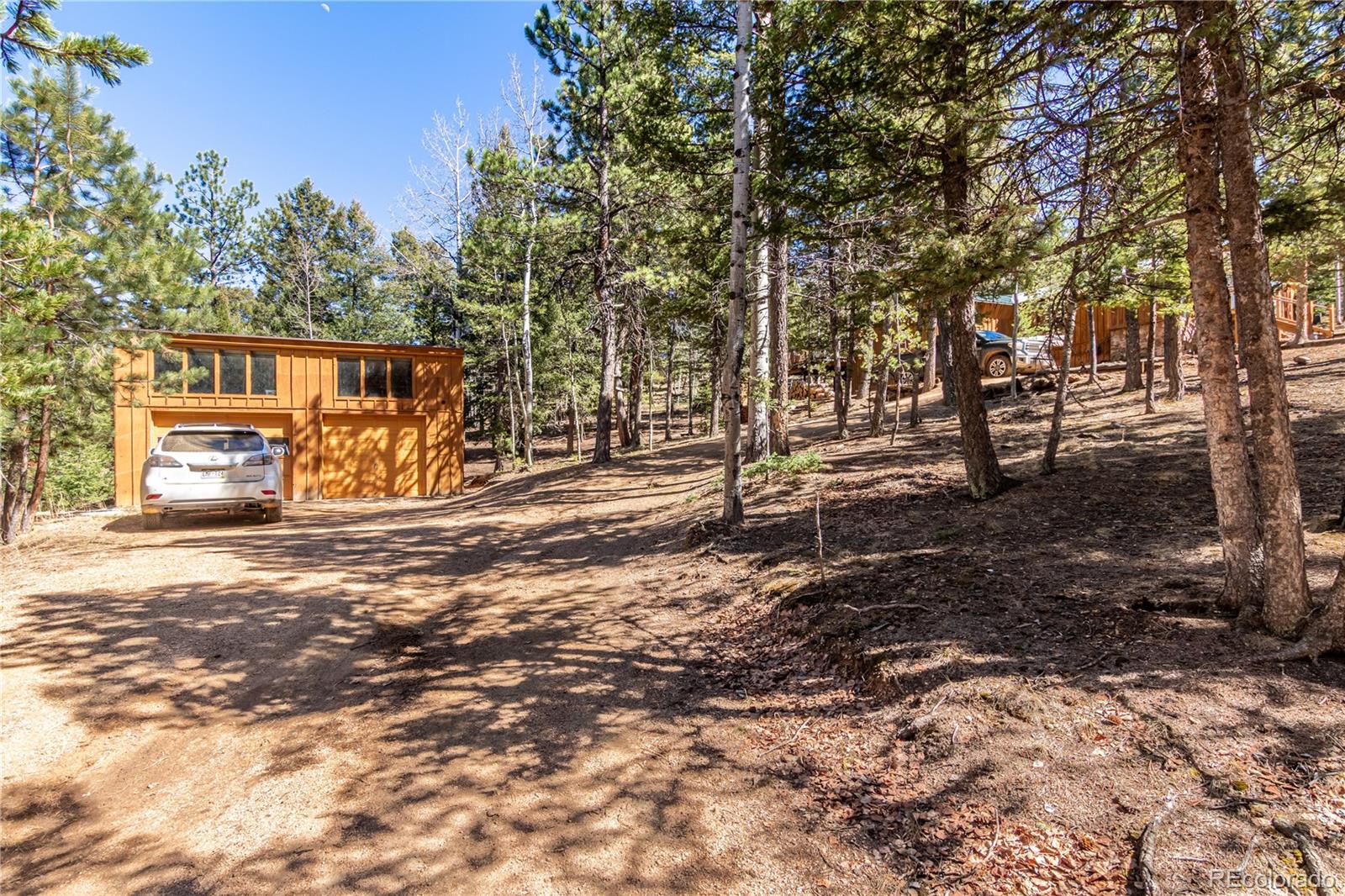 44 Anderson Road Florissant CO 80816