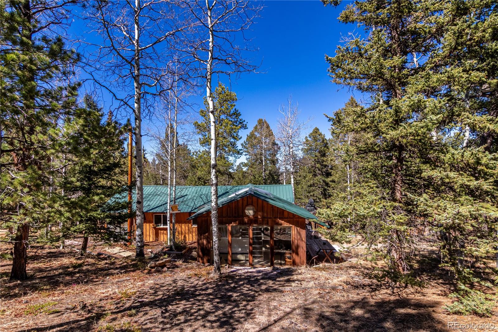 44 Anderson Road Florissant CO 80816
