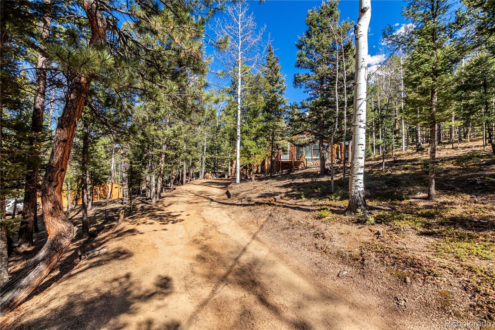 44 Anderson Road Florissant CO 80816