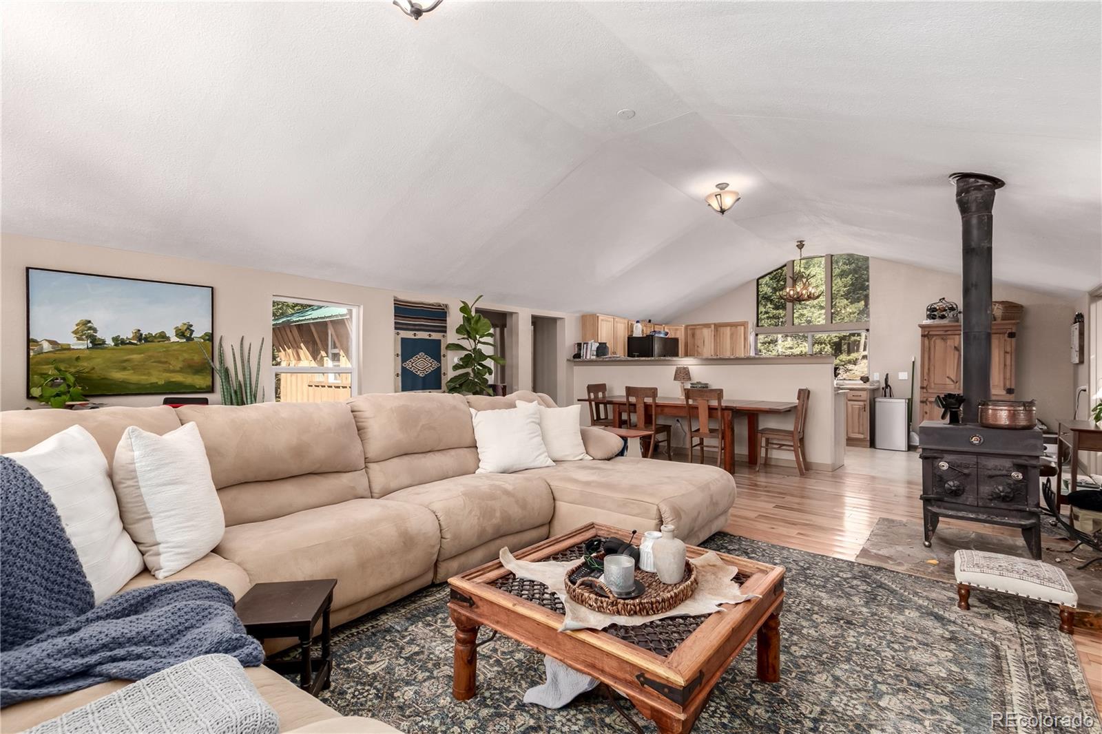 44 Anderson Road Florissant CO 80816