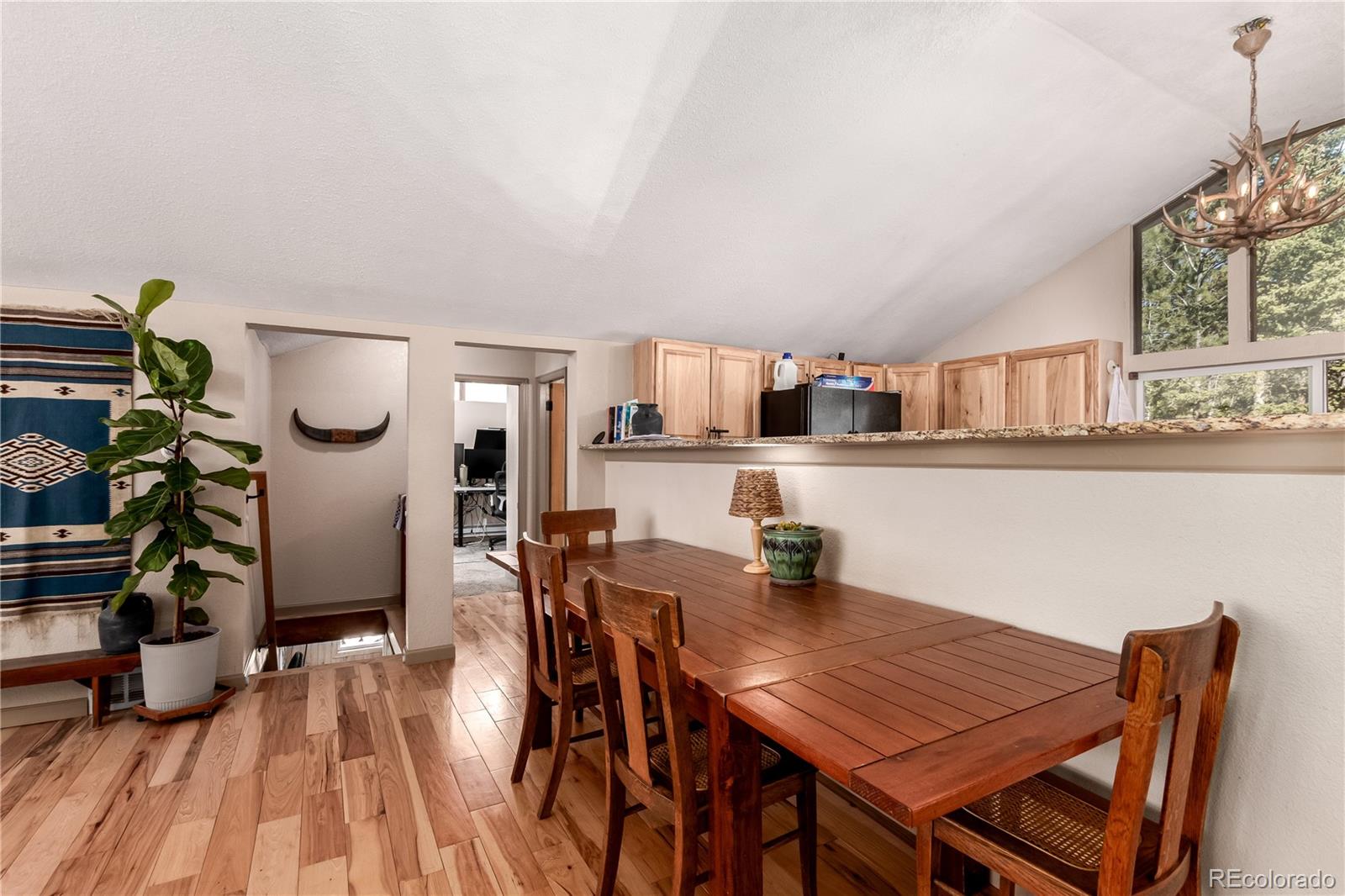 44 Anderson Road Florissant CO 80816
