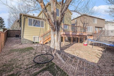 4690 N Foxtail Drive Castle Rock CO 80109