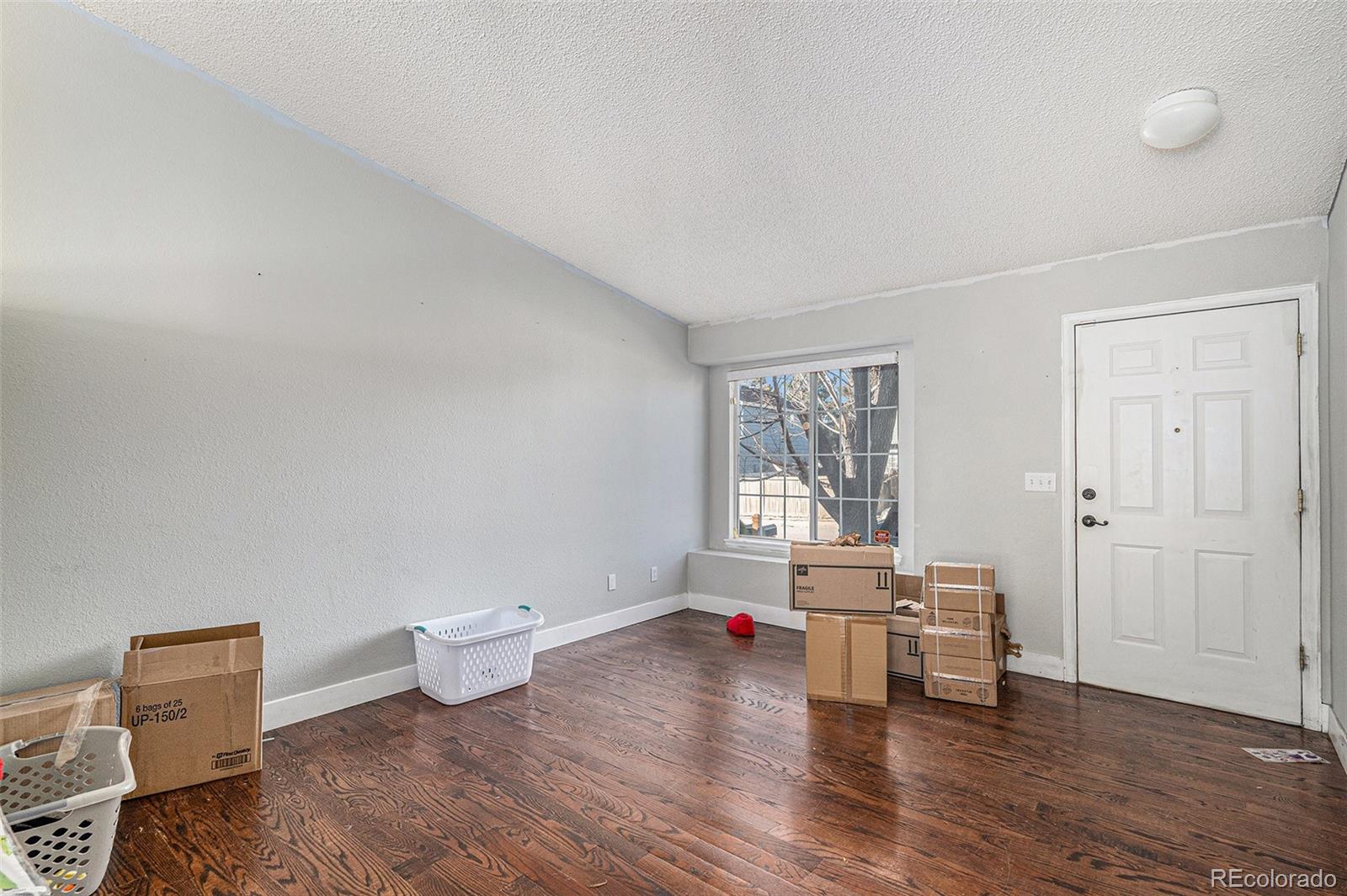 4690 N Foxtail Drive Castle Rock CO 80109