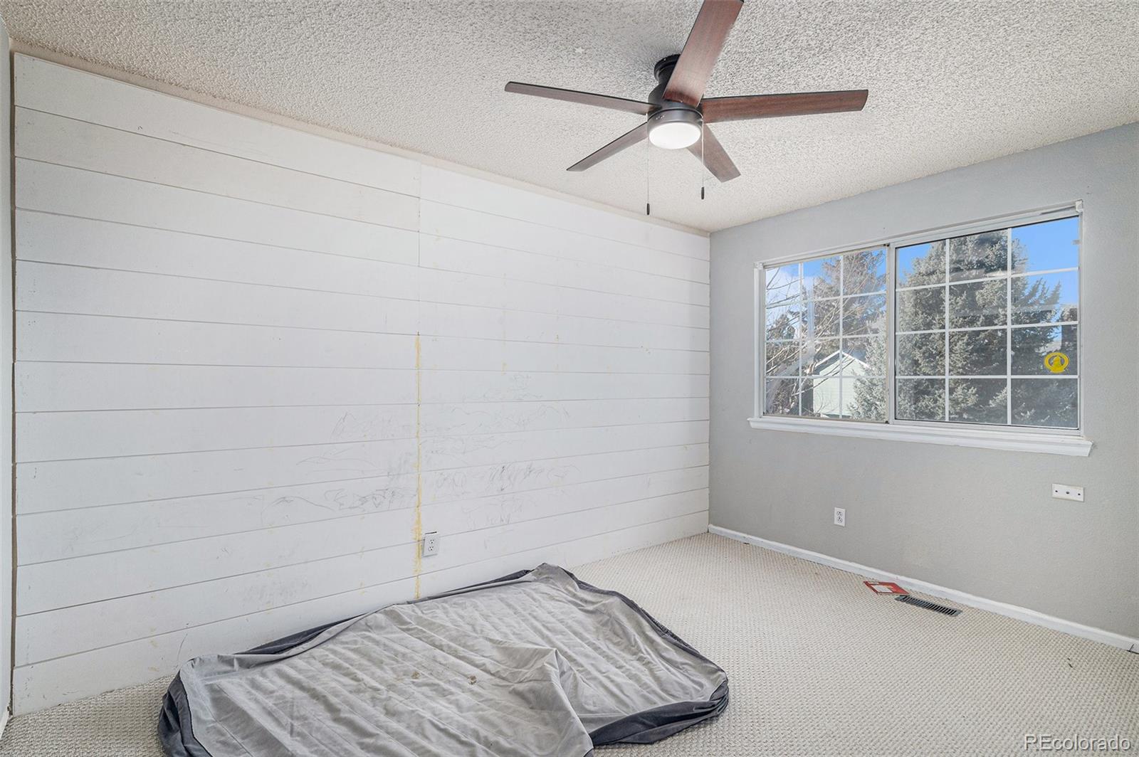 4690 N Foxtail Drive Castle Rock CO 80109