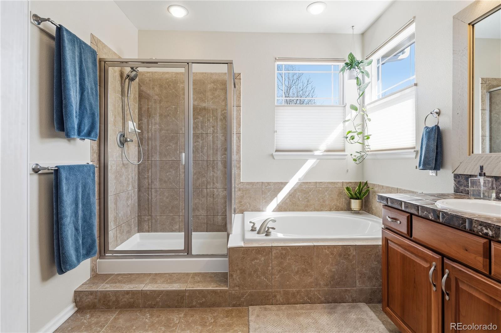 3200 Springbriar Drive Castle Rock CO 80109