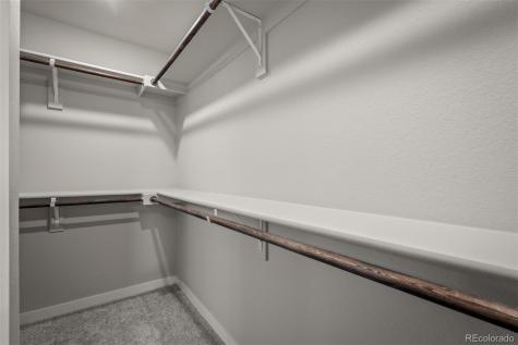 6313 Scrabble View Colorado Springs CO 80924