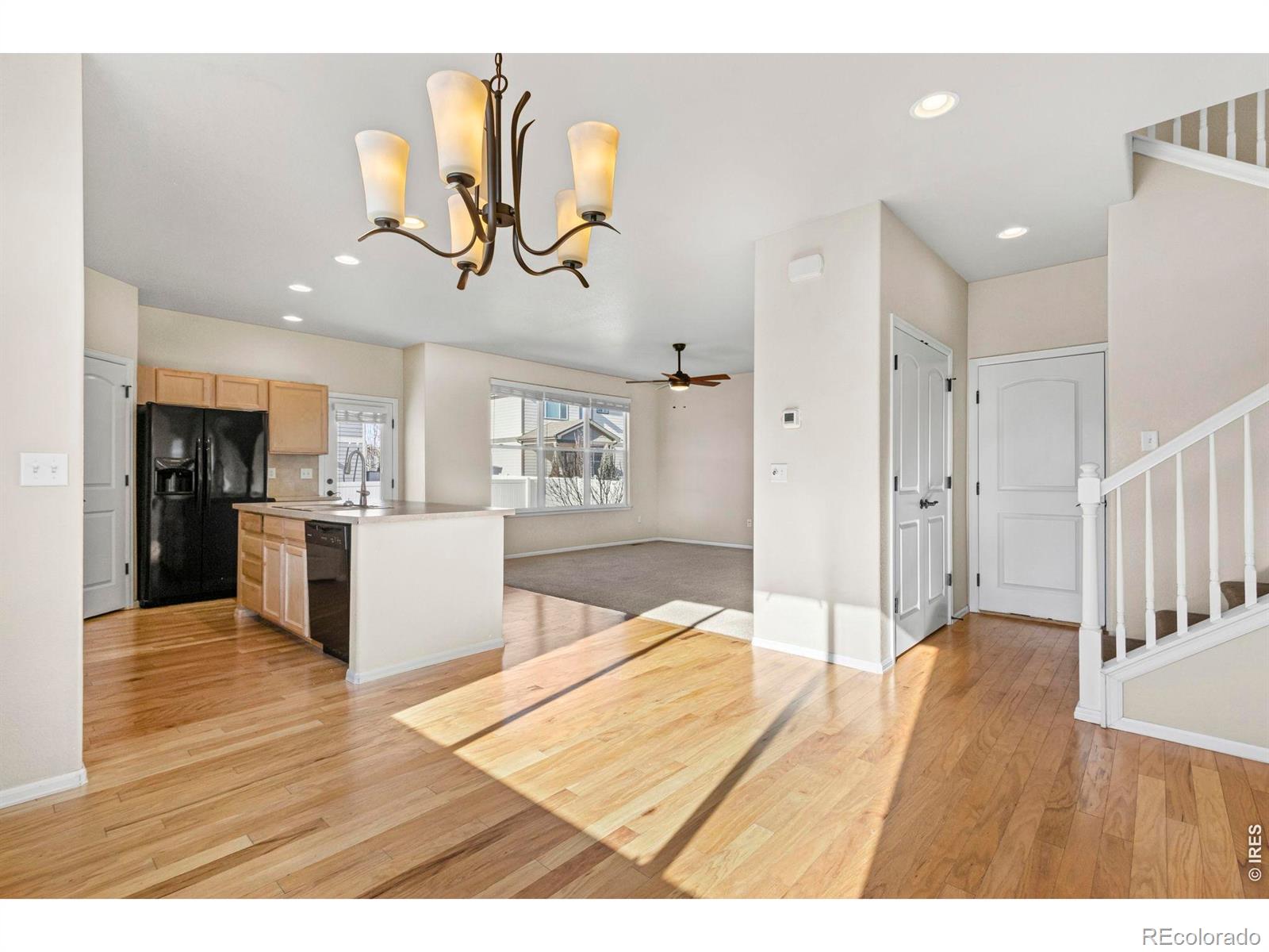 431 Ptarmigan Street Severance CO 80550